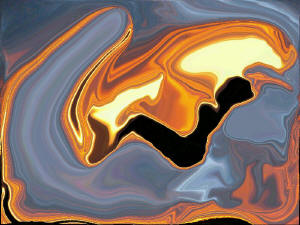 Mystery of Hidden Palm