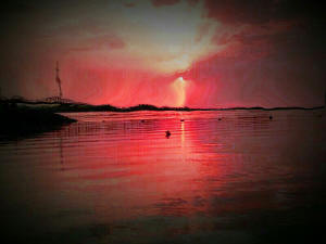 View from Sunset Island